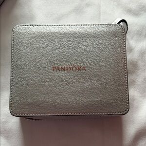 Pandora Metallic Silver Women's Wallet